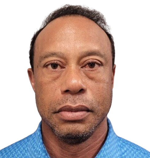 Tiger Woods DUI arrest
